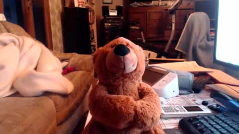 chacoa online show from February 16, 4:36 pm