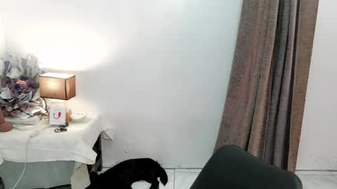 Snapshot of chakadal_xx chatting on November 20, 6:46 am chakadal_xx online show from November 20, 6:46 am