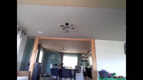 I am Charlie online show from September 16, 1:01 pm