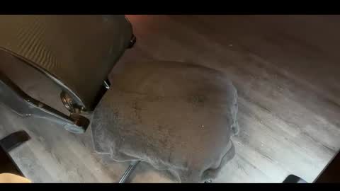 Snapshot of charlietango_live chatting on November 12, 2:01 am CharlieTango Live online show from November 12, 2:01 am