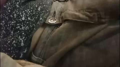 Boogog online show from September 15, 5:40 am