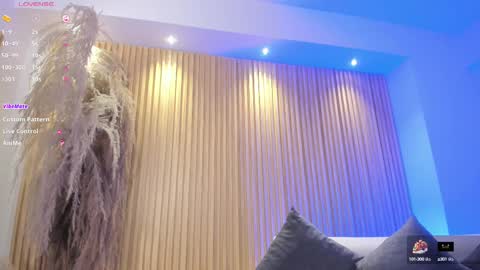 Charlotte  Everyday From 0700 to 1300 Col Time online show from February 14, 11:10 am