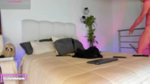 charlotteinpool online show from May 4, 6:42 am