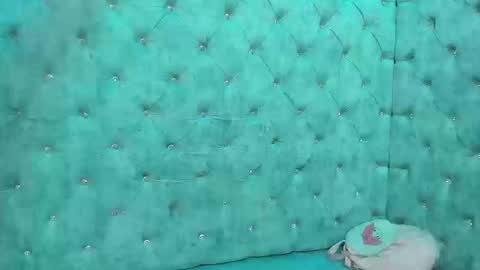 charlottestuart_ online show from March 13, 4:24 pm