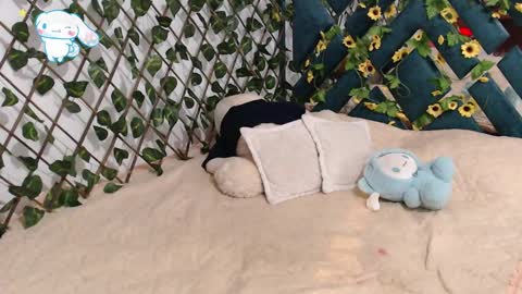 Snapshot of charly_evans60 chatting on February 19, 12:14 am charly_evans60 online show from February 19, 12:14 am