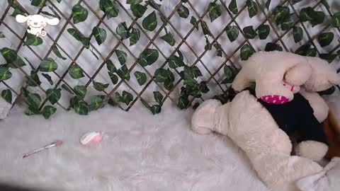 Snapshot of charly_evans60 chatting on February 24, 9:52 pm charly_evans60 online show from February 24, 9:52 pm