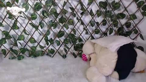 Snapshot of charly_evans60 chatting on February 25, 9:57 pm charly_evans60 online show from February 25, 9:57 pm