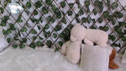 Snapshot of charly_evans60 chatting on February 27, 10:09 pm charly_evans60 online show from February 27, 10:09 pm