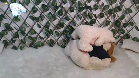 Snapshot of charly_evans60 chatting on March 2, 11:09 pm charly_evans60 online show from March 2, 11:09 pm