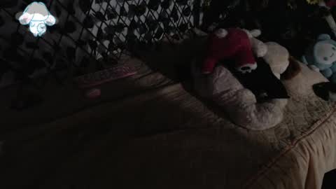 Snapshot of charly_evans60 chatting on March 12, 2:41 am charly_evans60 online show from March 12, 2:41 am