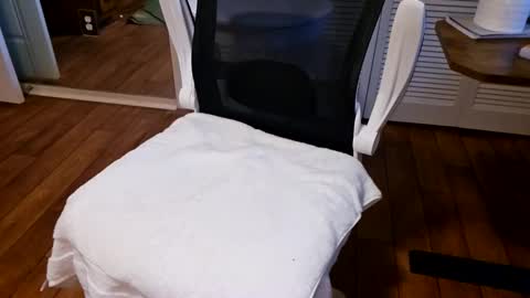 chaytay12 online show from January 27, 2:35 pm