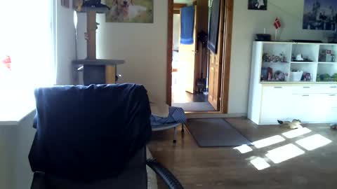 chefben666 online show from October 16, 10:27 am