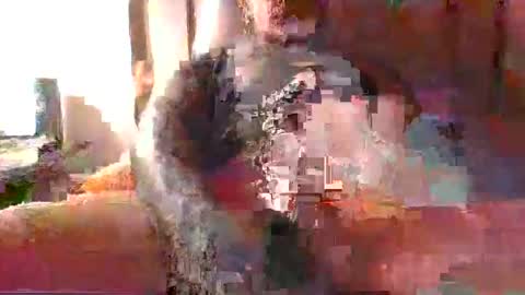 Snapshot of chikoink43 chatting on December 31, 5:22 am chikoink43 online show from December 31, 5:22 am