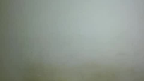 chocolatebony_ online show from January 22, 10:05 pm