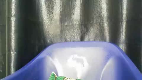 Snapshot of chocoslut22 chatting on December 14, 3:45 am chocoslut22 online show from December 14, 3:45 am