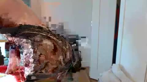 Snapshot of christophe_throbin chatting on January 31, 10:52 pm christophe_throbin online show from January 31, 10:52 pm