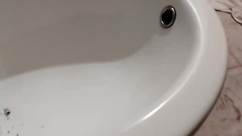 ciccilli online show from October 26, 11:20 pm