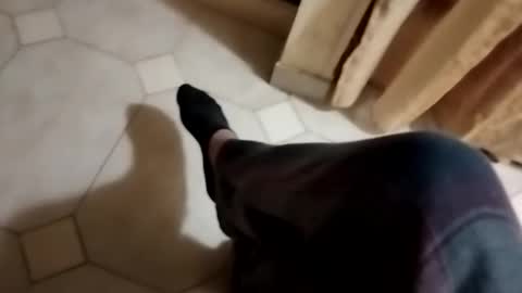 ciccilli online show from October 28, 10:12 pm