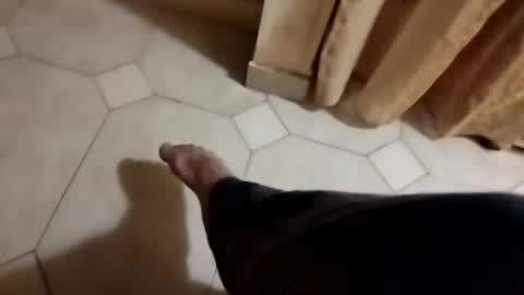 ciccilli online show from November 2, 10:01 pm