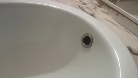 ciccilli online show from November 9, 10:08 pm