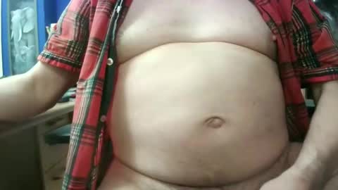 Circus Bear online show from November 12, 6:14 am