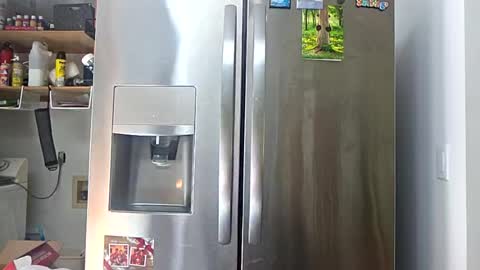 clarnbear online show from July 1, 6:18 pm