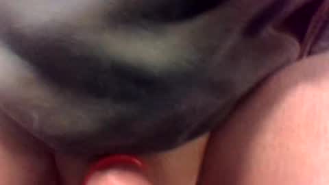 Snapshot of cocksmithog chatting on January 19, 11:43 pm cocksmithog online show from January 19, 11:43 pm