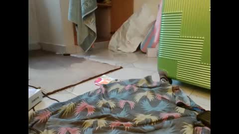 Snapshot of coco_vixen9 chatting on November 29, 9:12 am coco vixen9 online show from November 29, 9:12 am