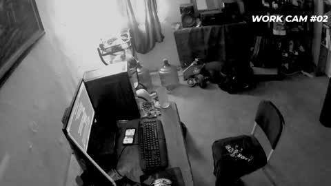 cometodani online show from April 16, 8:20 pm