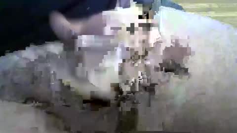 coneyguy online show from September 26, 1:26 pm