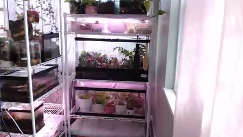 Snapshot of constantcumquest chatting on November 14, 3:44 pm ANR Mommy online show from November 14, 3:44 pm