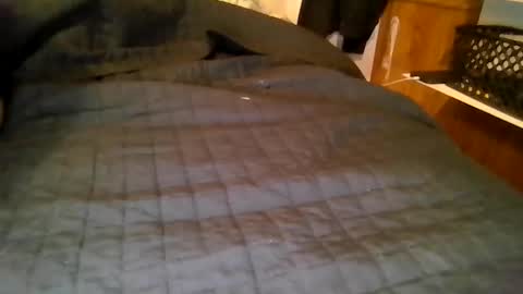 your local abrasive ALT couple online show from March 19, 8:07 am