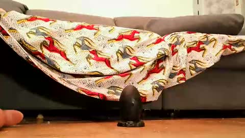 Snapshot of cossy69 chatting on September 26, 4:33 pm Andy sissy room online show from September 26, 4:33 pm