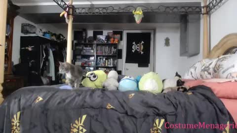 Amethyst Cox online show from March 26, 10:04 pm