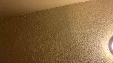 couplebroad_ online show from March 3, 6:48 am