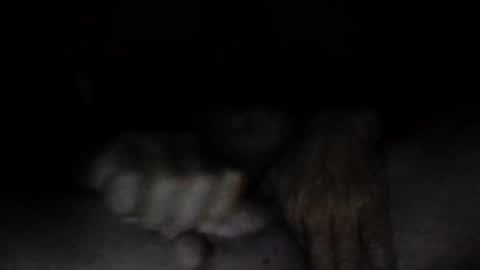 Snapshot of couqi_xxx10 chatting on June 2, 12:29 pm online show from June 2, 12:29 pm