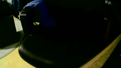 coyote017 online show from November 1, 7:49 pm