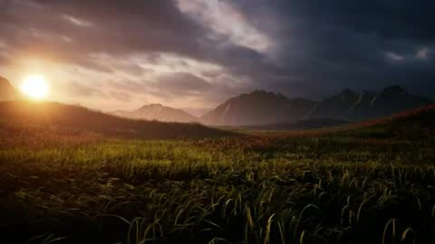 The hopeless romantic online show from October 11, 7:45 pm