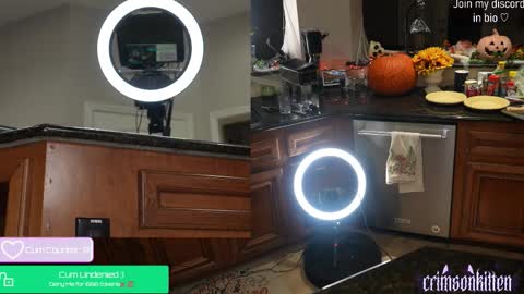 Crimson Kitten online show from November 27, 4:25 am