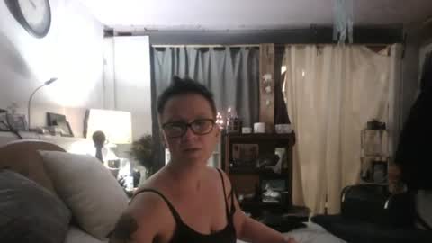 Tulip online show from December 2, 4:53 am