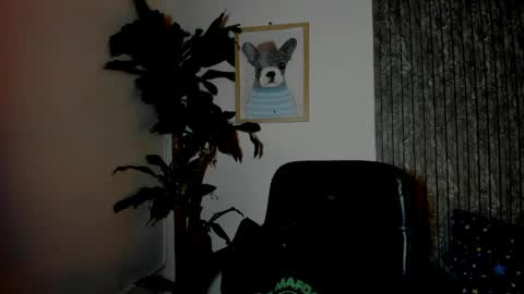 Cristian online show from March 29, 11:38 pm