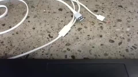 cruelworldxxx online show from February 22, 10:52 pm