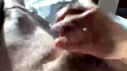 Crushit online show from January 10, 5:04 pm