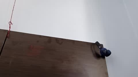 cuddlemuffins online show from March 8, 5:00 am