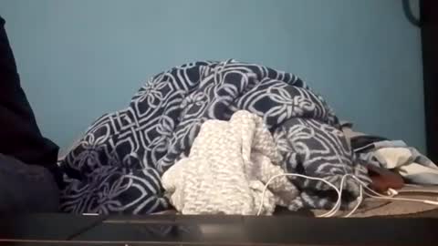 Snapshot of cumbian_chero chatting on July 14, 3:44 am cumbian_chero online show from July 14, 3:44 am