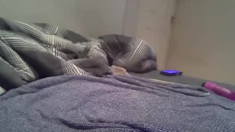 Snapshot of cummbumm69 chatting on February 14, 8:16 pm cummbumm69 online show from February 14, 8:16 pm