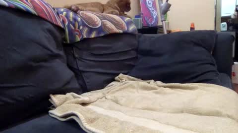 cumonover420 online show from April 24, 1:41 am