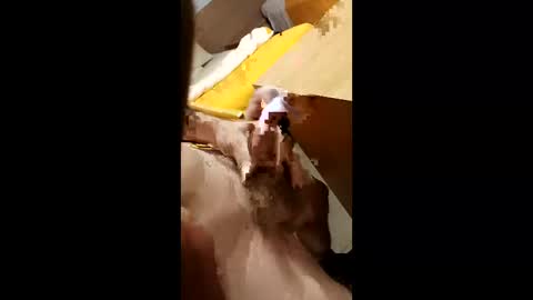 Snapshot of cunnemammaru chatting on December 16, 11:43 pm cunnemammaru online show from December 16, 11:43 pm