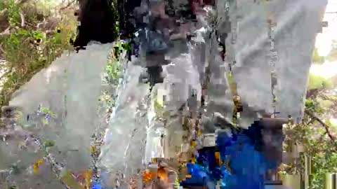 Snapshot of curioso_965 chatting on November 25, 10:26 am Curioso 965 online show from November 25, 10:26 am