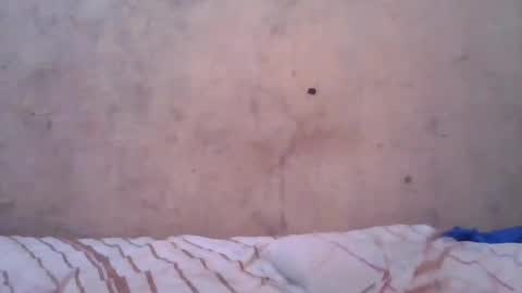 cute_divah4 online show from June 12, 4:22 am